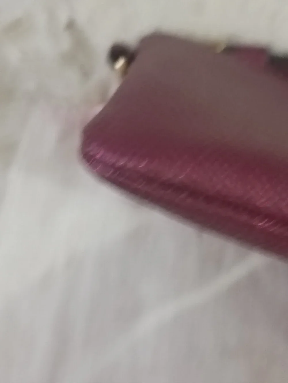 COACH Metallic Corner Zip Wristlet